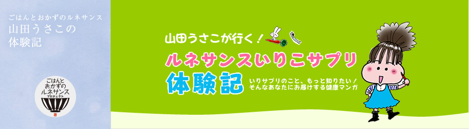 山田うさこの体験記　ごはんとおかずのルネサンス