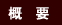 概要