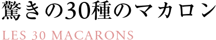 驚きの30種のマカロン LES 30 MACARONS