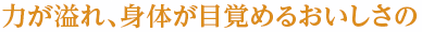 力が溢れ、身体が目覚めるおいしさの